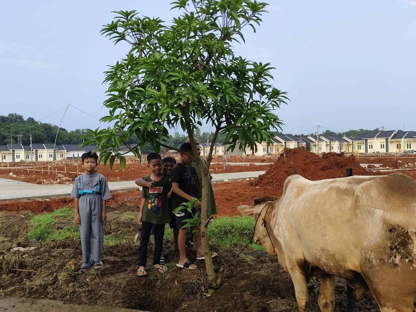 Qurban